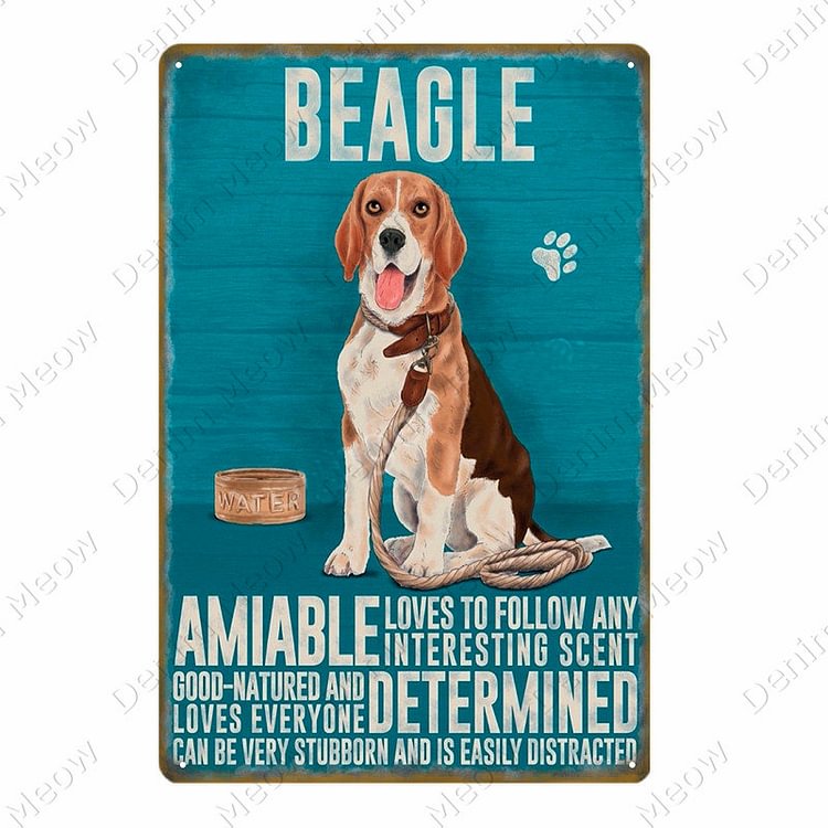 Dog - Beagle Amiable Determined Vintage Tin Signs/Wooden Signs - 7.9x11.8in & 11.8x15.7in