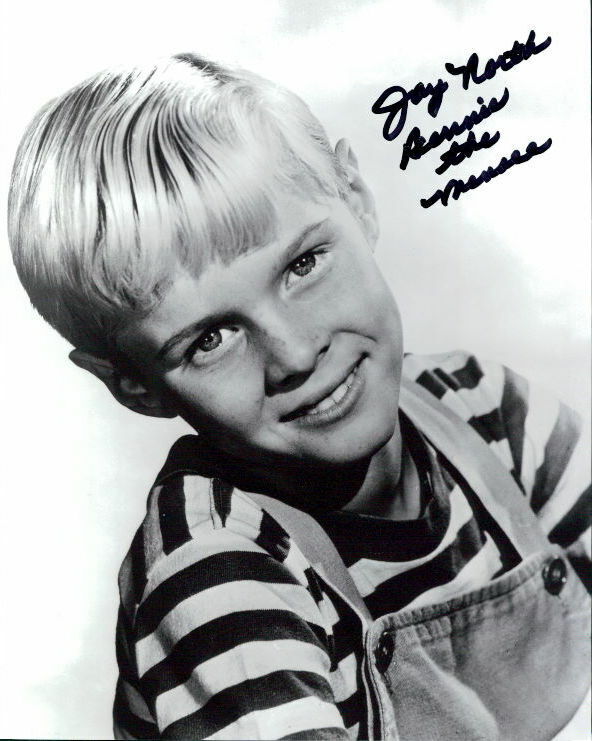 Jay North (Dennis the Menace) signed authentic 8x10 Photo Poster painting COA