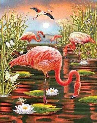 

Flamingo in Swamp – Paint By Numbers - 40*50CM, 501 Original