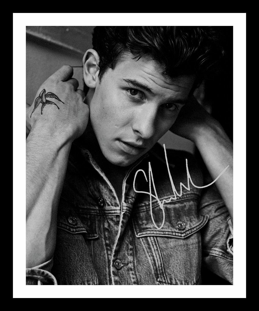 Shawn Mendes Autograph Signed & Framed Photo Poster painting