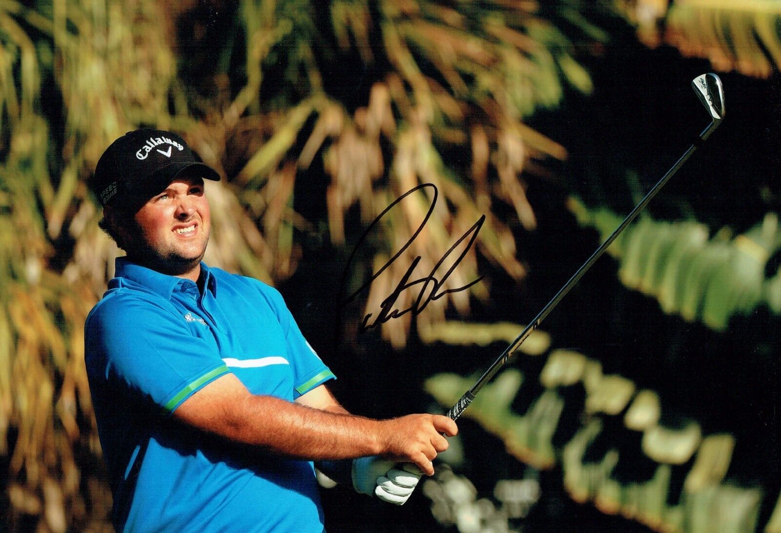 Patrick REED SIGNED 12x8 Action Photo Poster painting 1 AFTAL Autograph COA Golf PGA Tour