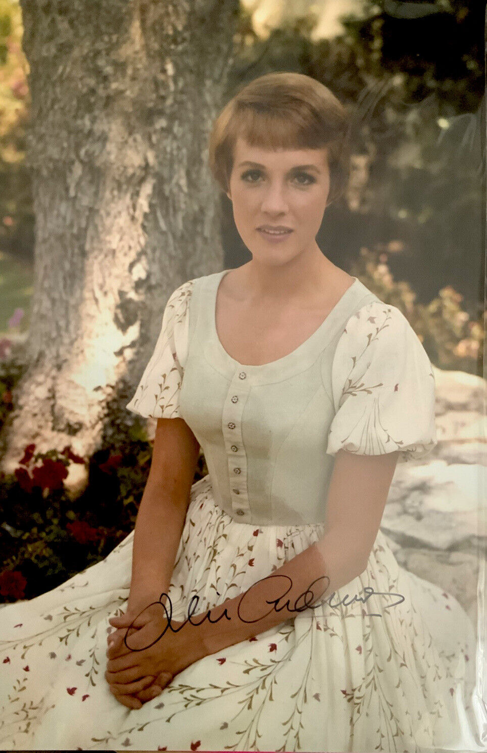 Julie Andrews Signed ‘Sound of Music’ 11 x 8” Photo Poster painting COA