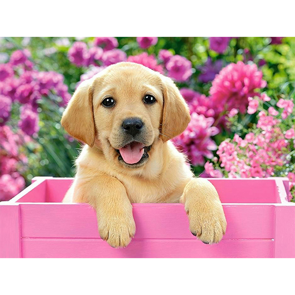 

Cute Dog - Round Drill Diamond Painting - 40*30CM, 501 Original