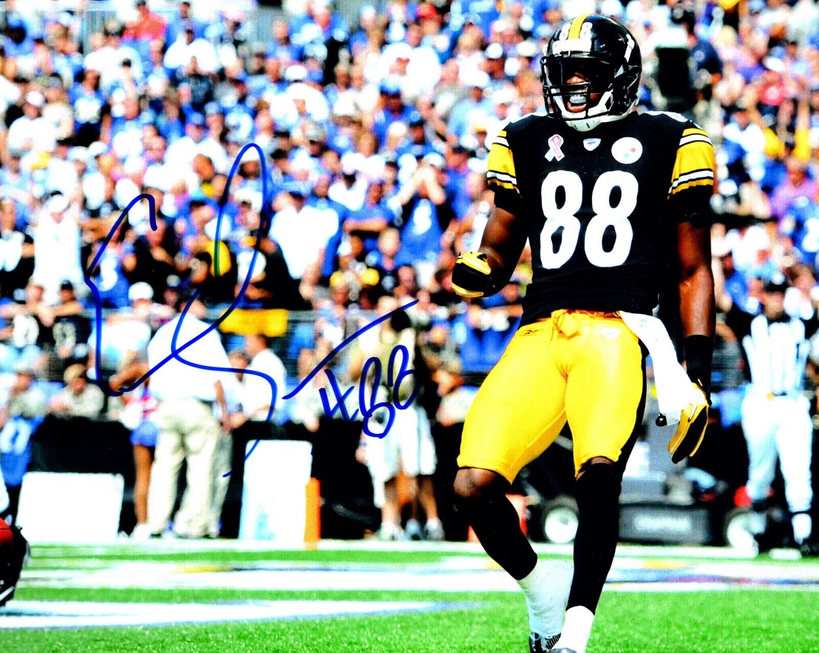 Emmanuel Sanders Signed - Autographed Pittsburgh Steelers 8x10 inch Photo Poster painting + COA