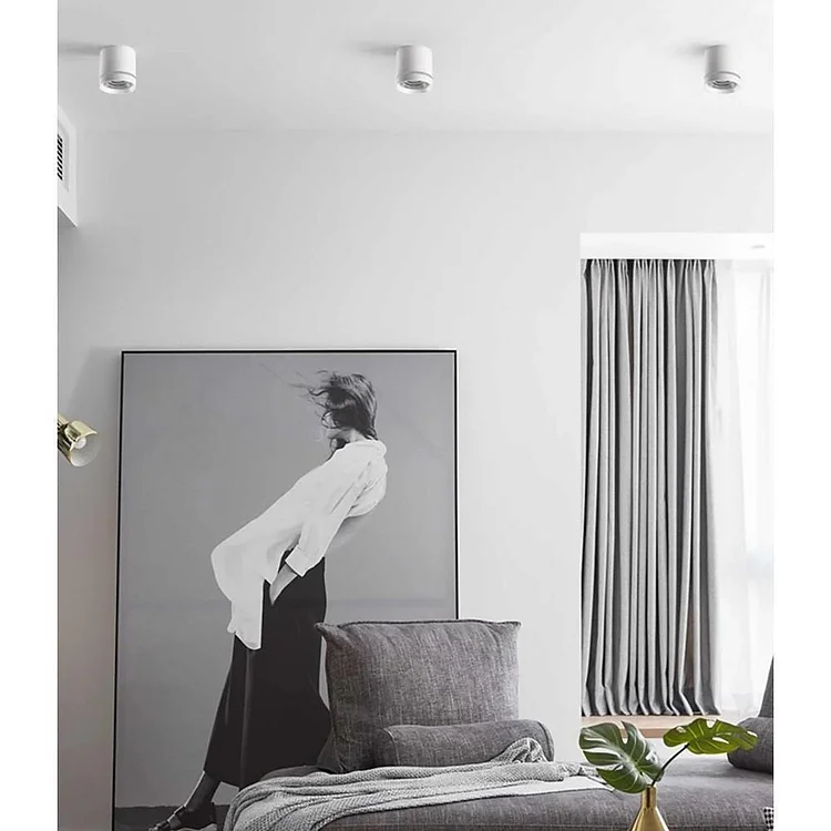 Cylindrical Shapes LED Modern Ceiling Lights Flush Mount Lighting - Appledas