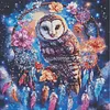 Diamond Painting -DIY Round Drill Dreamcatcher Owl(40x40cm)