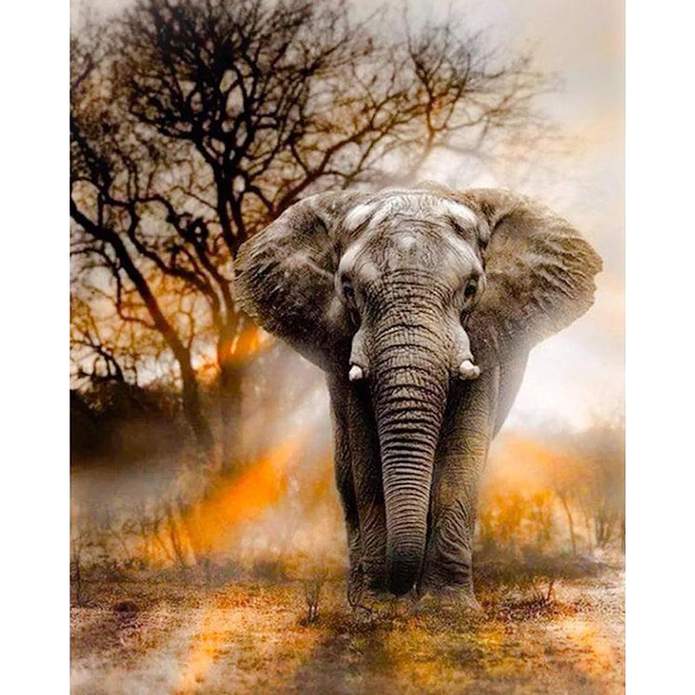 Elephant Full 11CT Counted Canvas(40*50cm) Cross Stitch