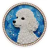 DIY Pearl Painting Art Kit,Round Dust-proof Outer Frame with Tassel Hanging Kit