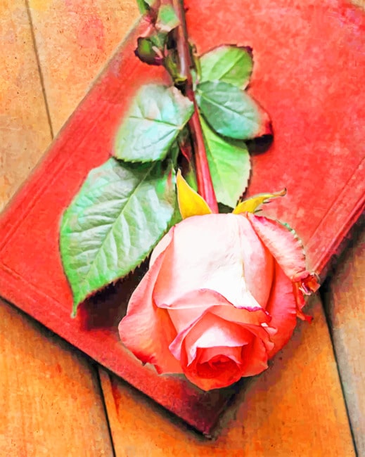 

Pink Rose In Book – Paint By Numbers - 40*50CM, 501 Original