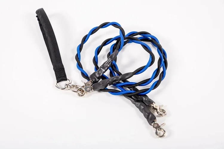 🔥Last Day 49% OFF🔥🐕Double Bungee Leash - 1st step training tool 