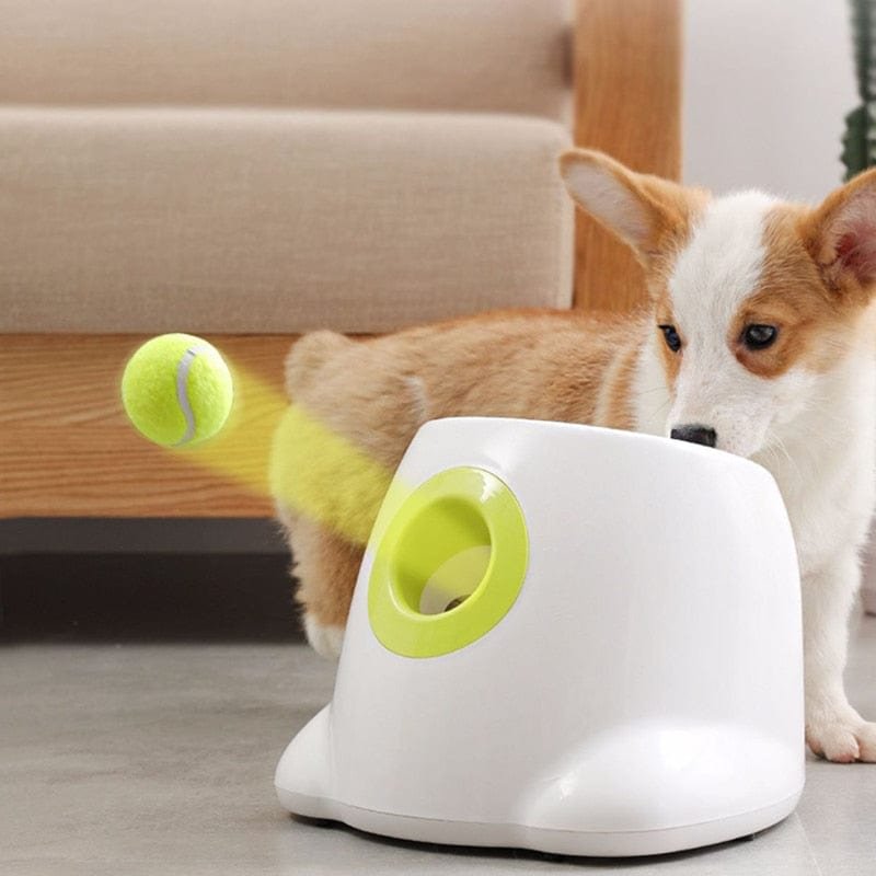 Automatic Ball Thrower For Dogs - vzzhome