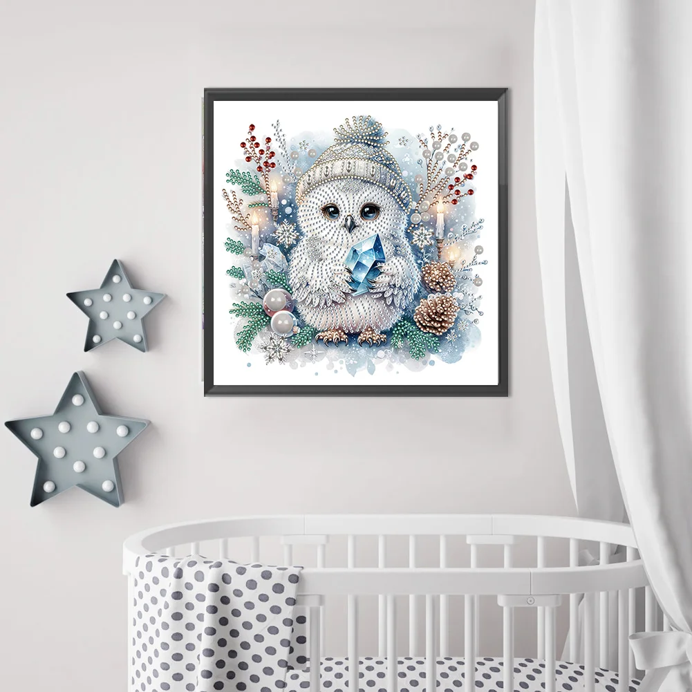 Diamond Painting - Partial Special Shaped Drill - Winter Owl(Canvas|30*30cm)