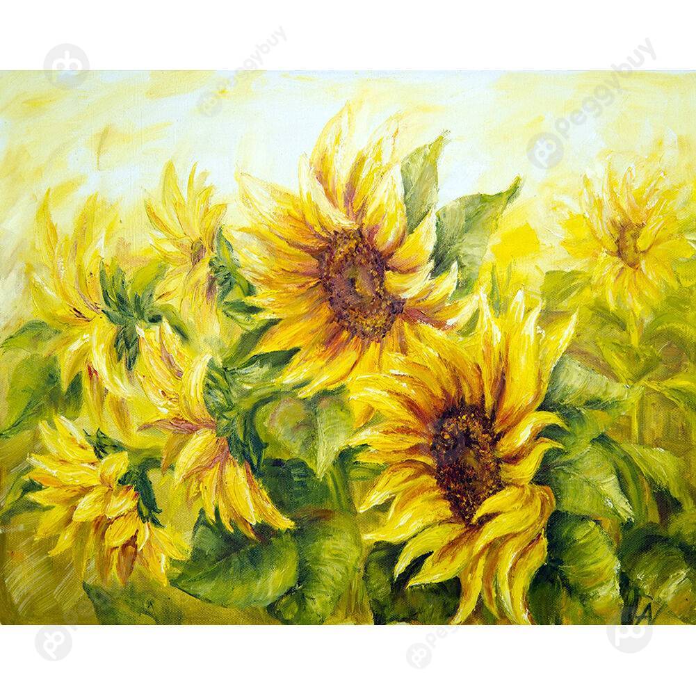 

40*50CM Paint By Numbers-Sunflower, 501 Original
