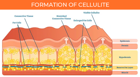 SkineticTM Grapefruit Anti-Cellulite Essential Oil