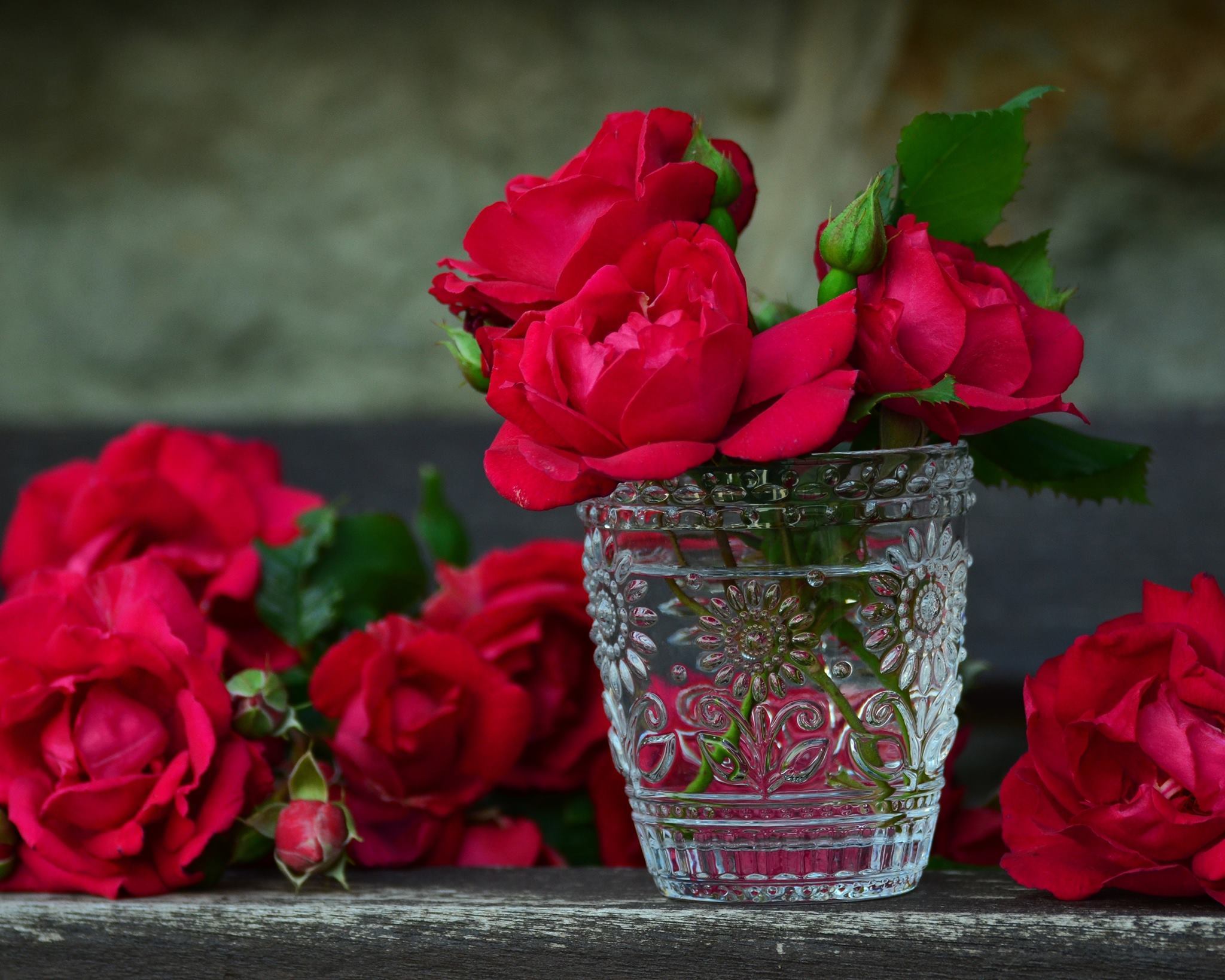 

Red Roses in Glass Cup – Paint By Numbers - 40*50CM, 501 Original