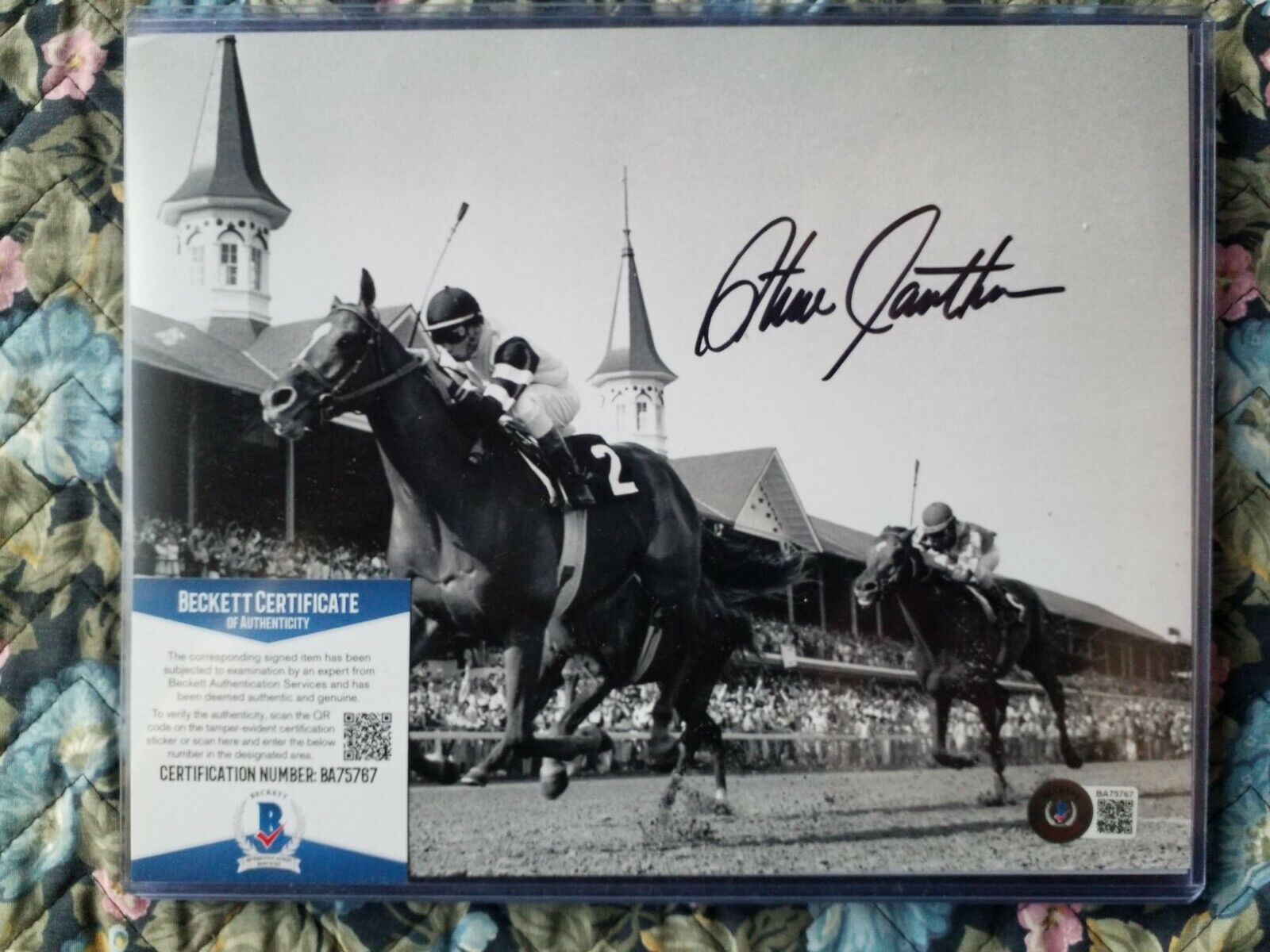 Steve Cauthen SIGNED 8x10 Photo Poster painting + 1978 Triple Crown Beckett COA Autographed