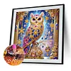Owl-Special Shaped Diamond Painting