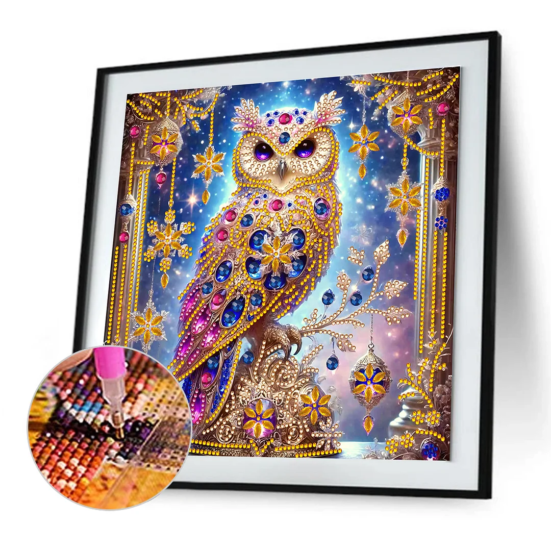 Owl - Partial Special Shaped Drill Diamond Painting Kits (Canvas|30*30cm)