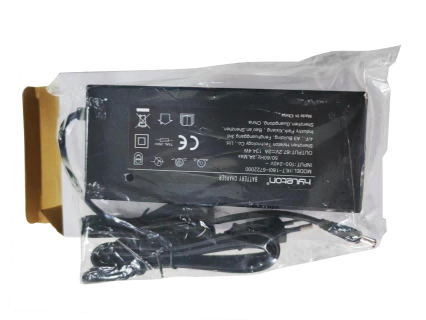 G4 Charger