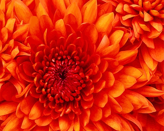 

Orange Flower – Paint By Numbers - 40*50CM, 501 Original