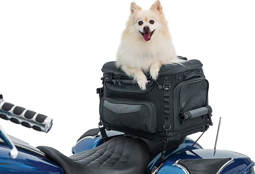 Portable Motorcycle Dog Carrier 