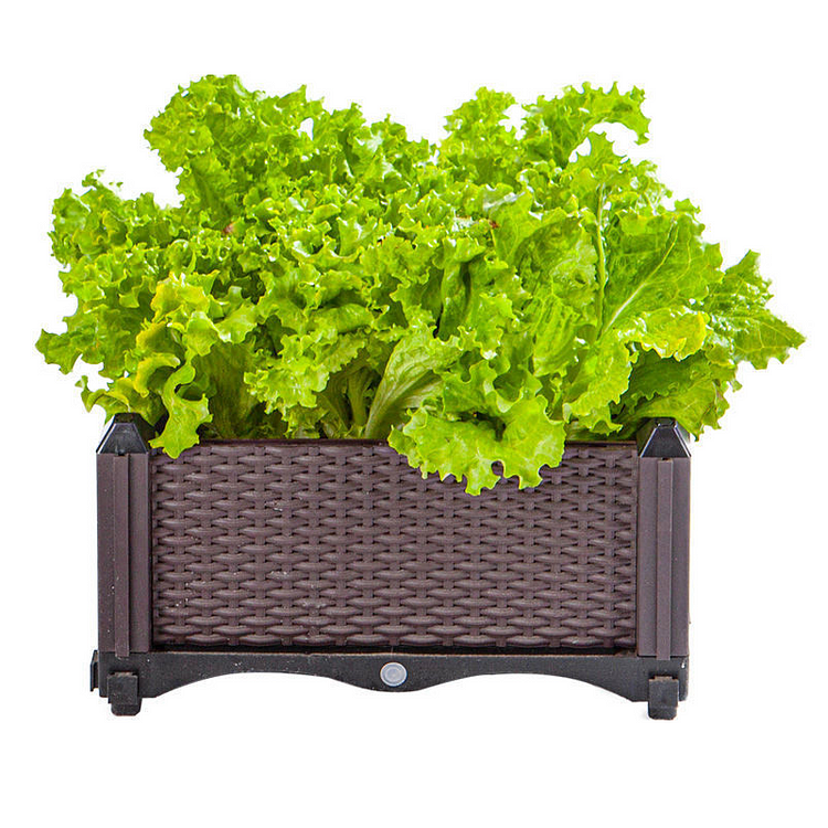 🔥Clearance Sale🔥DIY Raised Garden Bed Kits