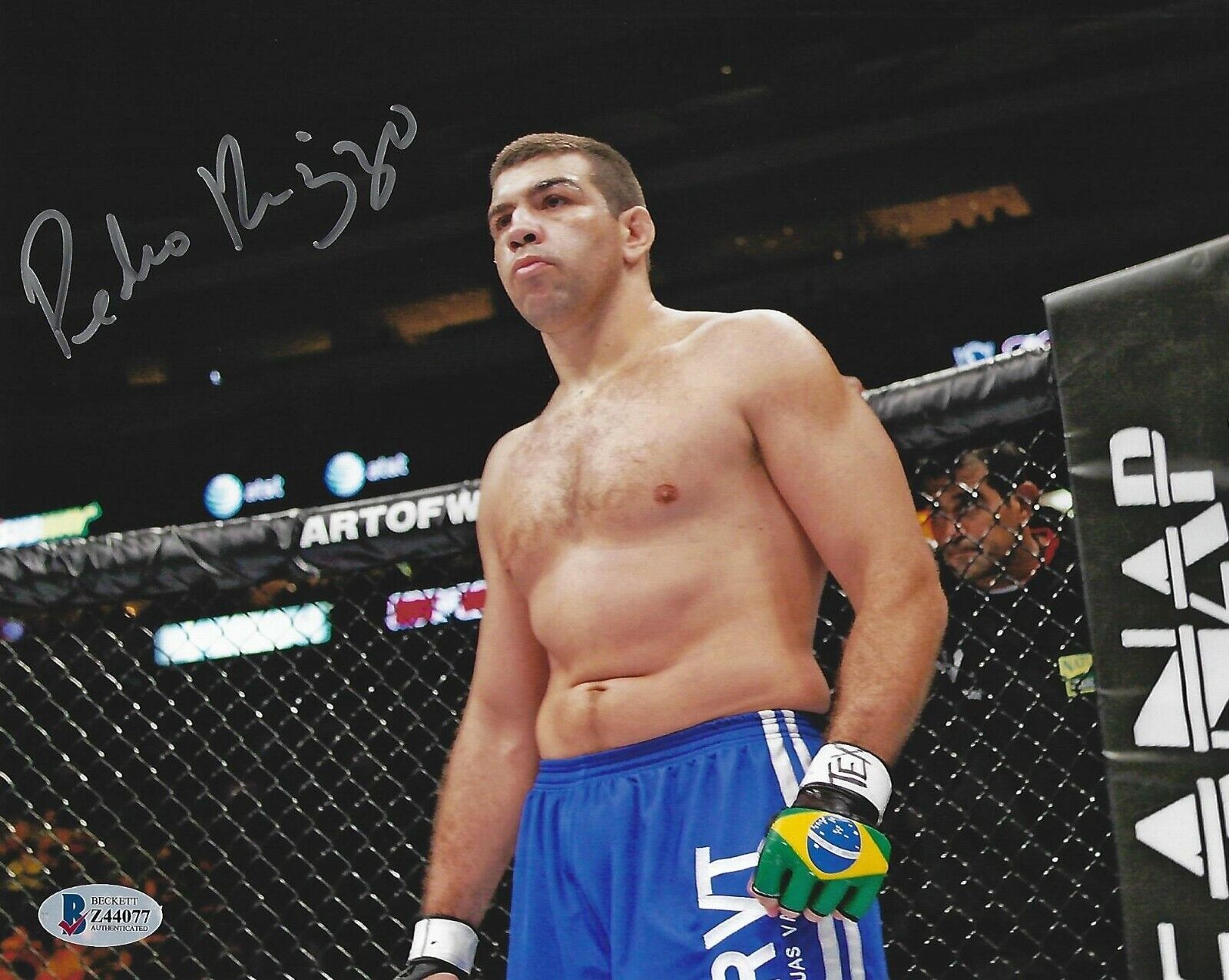 Pedro Rizzo Signed 8x10 Photo Poster painting BAS COA UFC Pride FC Legend Picture Autograph 4077