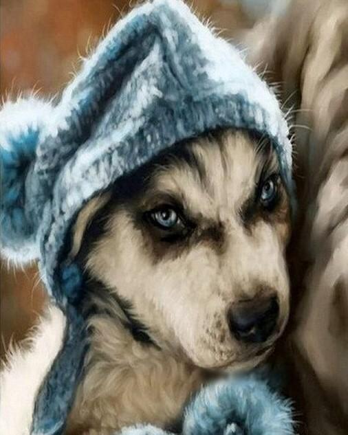 

Dog In Bathrobe – Paint By Numbers - 40*50CM, 501 Original