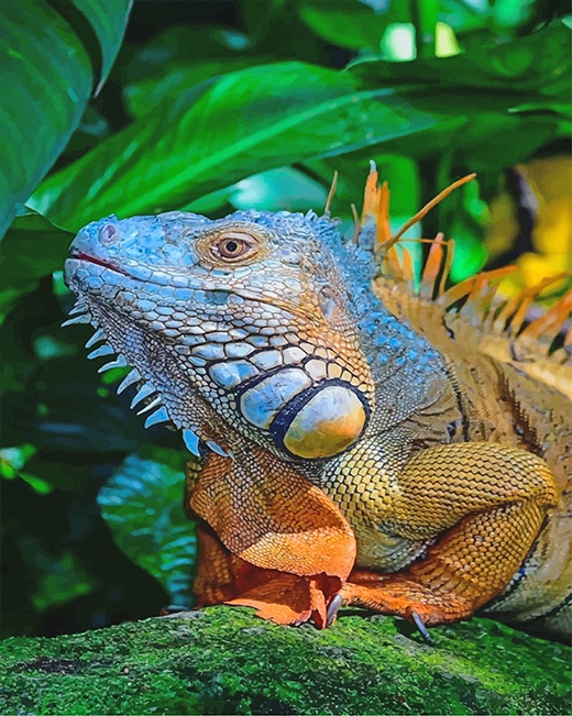 

Big Iguana – Paint By Numbers - 40*50CM, 501 Original
