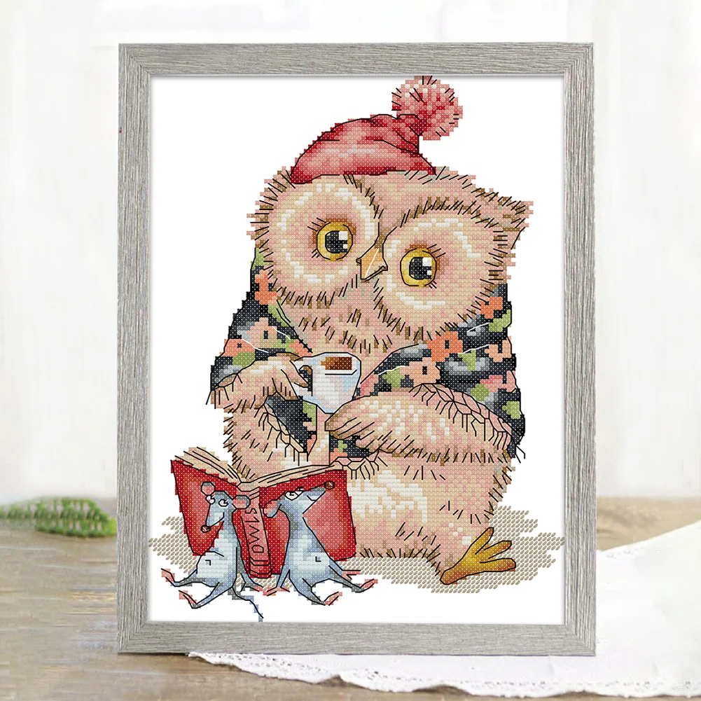 DIY Stamped Cross Stitch 14CT Partial Embroidery 22*30cm - Owl Who Loves Learning
