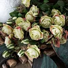 6 Heads Camellia Rose Artificial Flower
