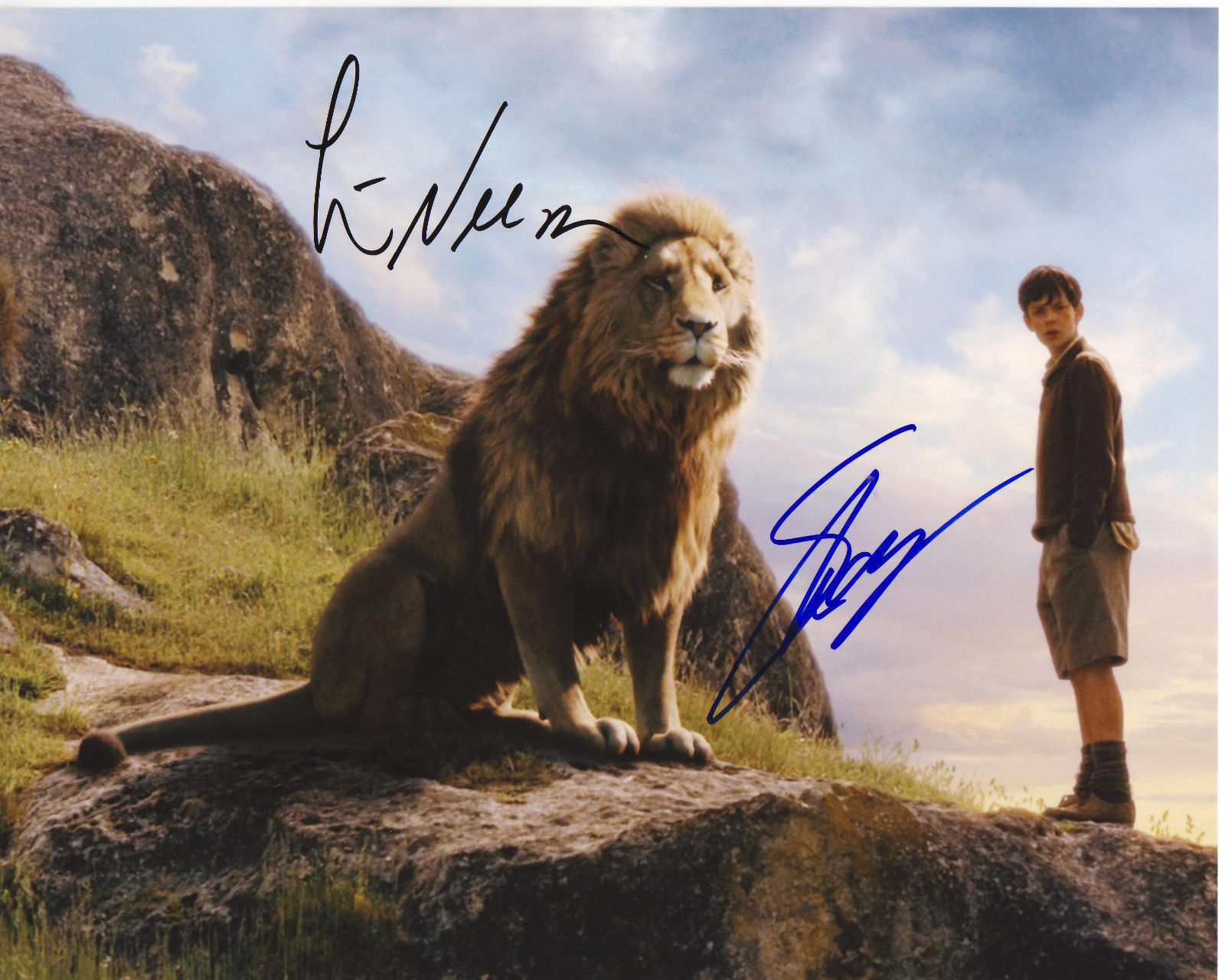 NARNIA CAST AUTOGRAPH SIGNED PP Photo Poster painting POSTER