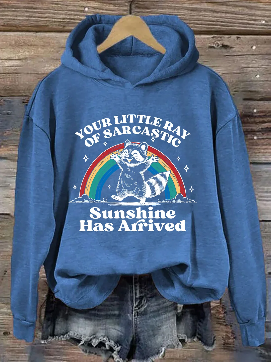 Your Little Ray Of Sarcastic Sunshine Has Arrived Hoodie