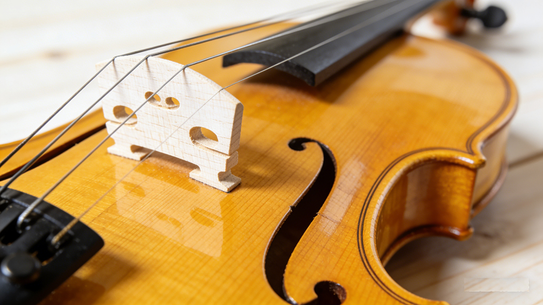 Beginner Violins