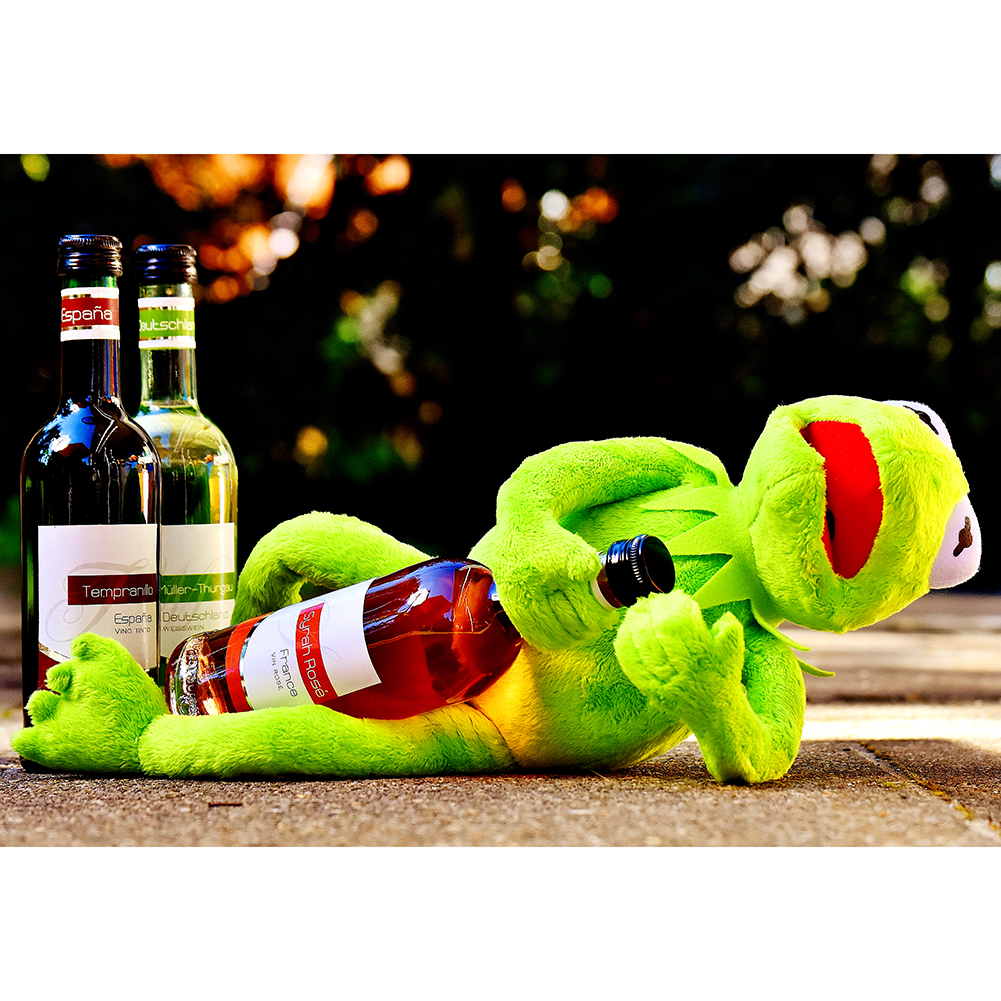 

Lying Long-legged Frog - 1000 Pieces Jigsaw Puzzle, 501 Original