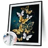 Painting By Numbers - DIY Color Butterfly (40*50cm)