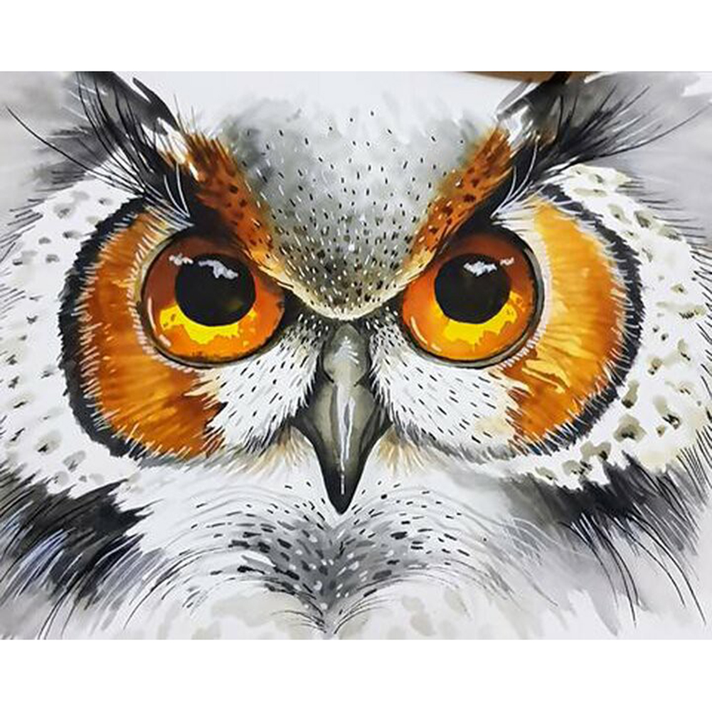 

Owl - Round Drill Diamond Painting - 40*30CM, 501 Original