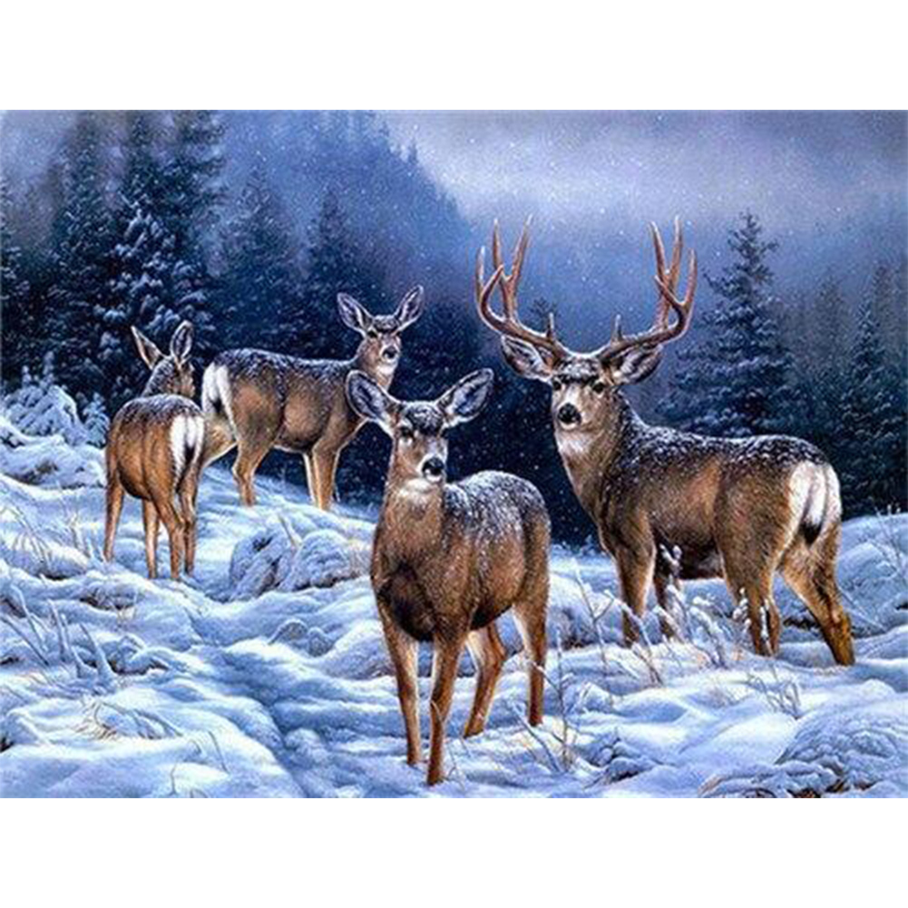 

50*40CM - Paint By Numbers - Deer, 501 Original