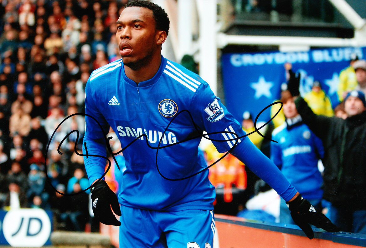 Chelsea F.C Daniel Sturridge Hand Signed Photo Poster painting 12x8 1.