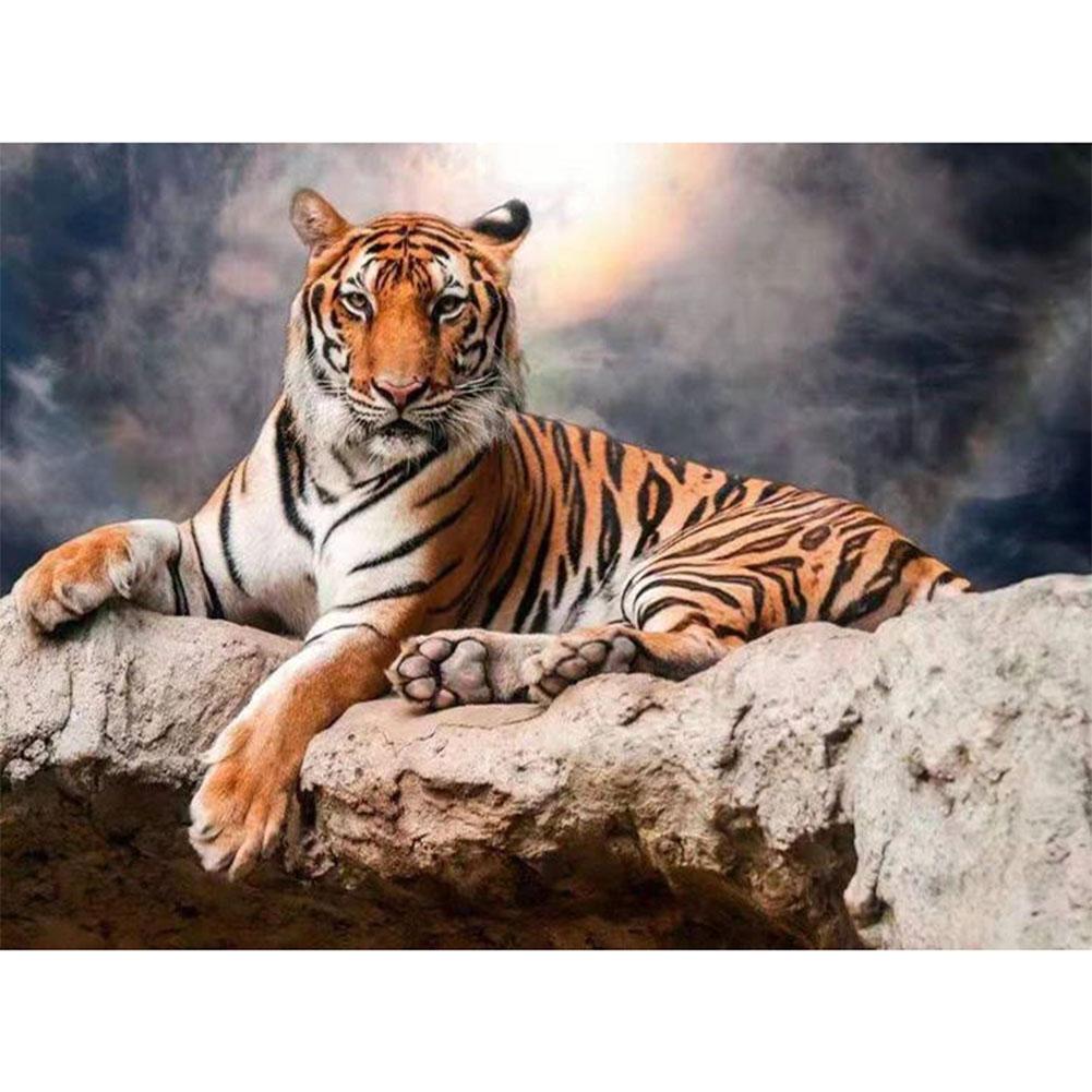 

40x50cm - Paint By Numbers Tiger, 501 Original