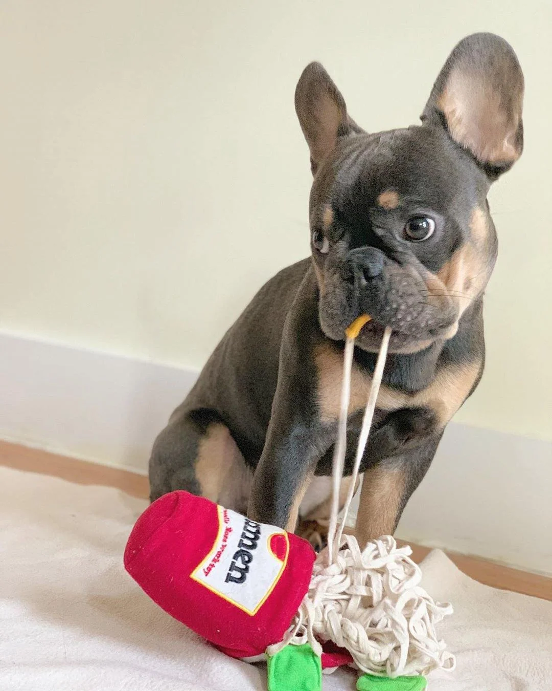 Ramen Dog Sniff Plush Toy