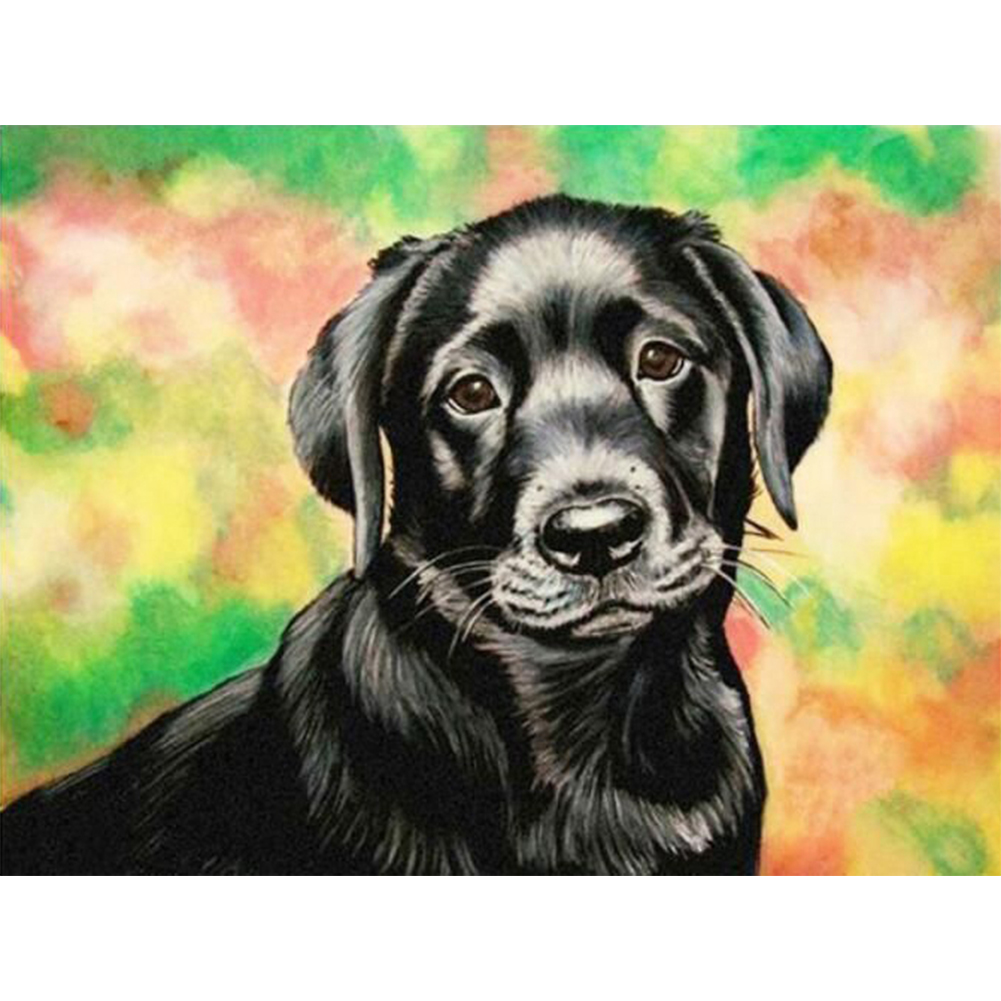 

Dog - Round Drill Diamond Painting - 40*30CM, 501 Original