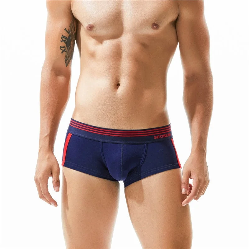 Aonga  Thanksgiving Day Gifts Brand Male Underwear Breathable Cotton Boxer Men Panties U Convex Pouch  Underpants Low Waist Boxers Shorts Homme