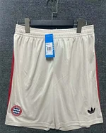 2024/2025 Bayern Munich Third Away Shorts