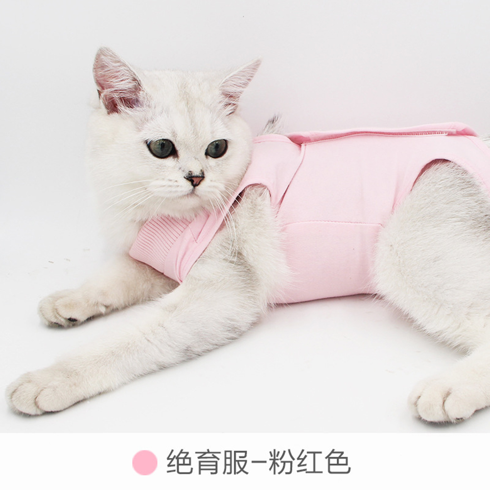 

Cat Clothes, Purple, 501 Original