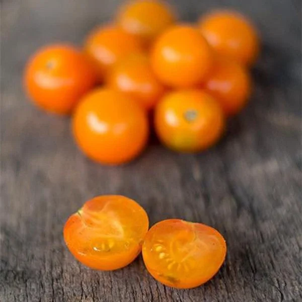 Sungold Tomato (F1 hybrid 60 days)