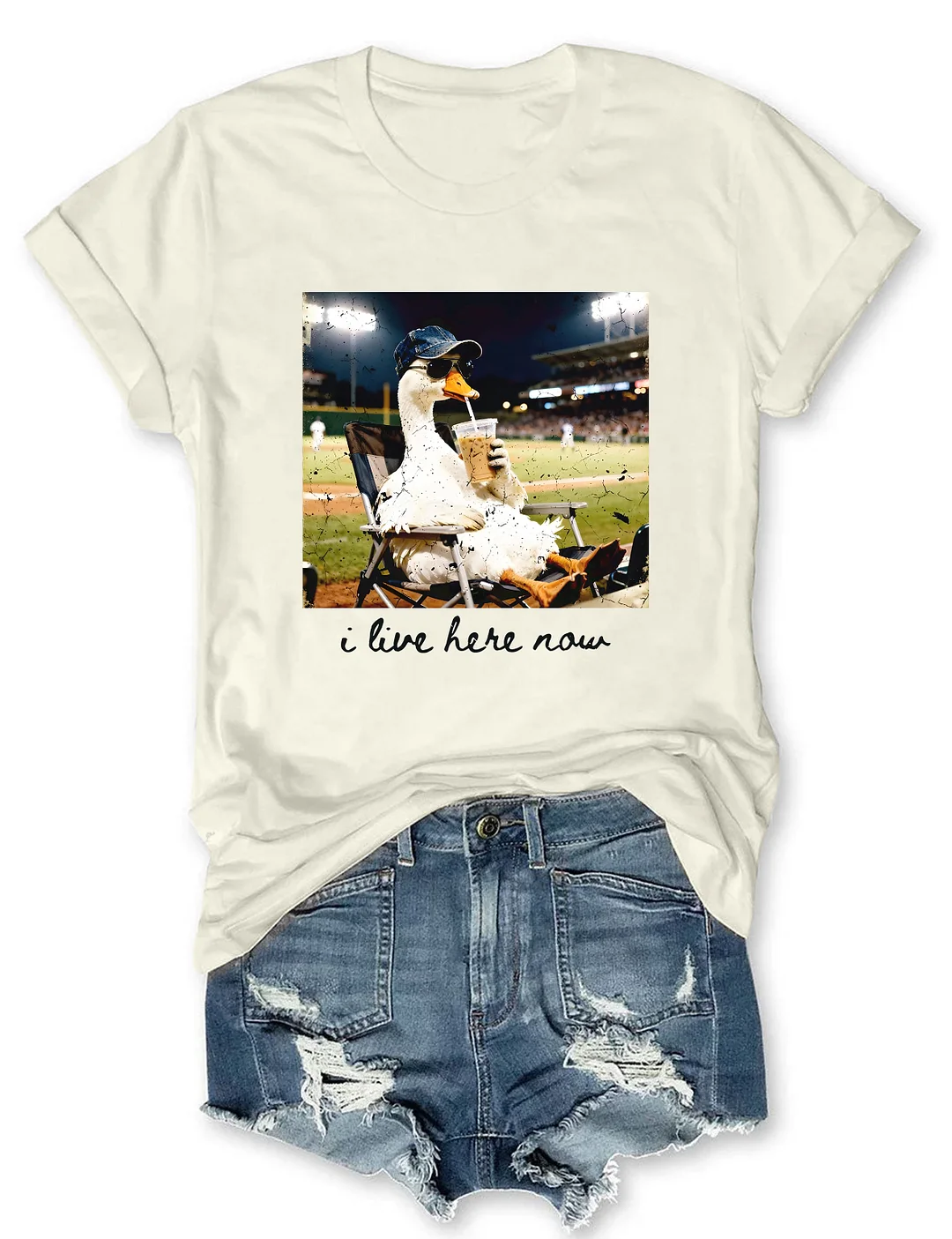 I live Here Now Goose Ballfield T-shirt