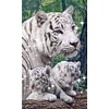 Bead Embroidery - Full Printed 9CT Tigers(35x58 CM)