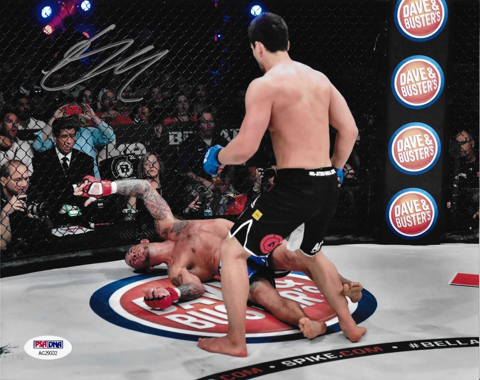 Hisaki Kato Signed Bellator MMA 139 8x10 Photo Poster painting PSA/DNA COA Picture Autograph 1