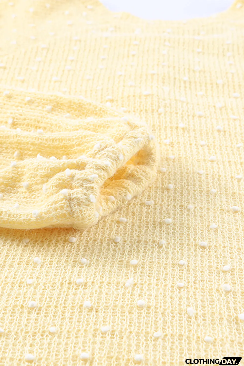 Swiss Dot Raglan Sleeves Knit Top